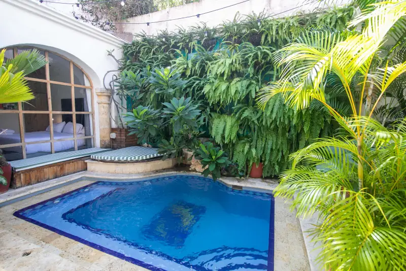 Casa Oasis, Centro Histórico